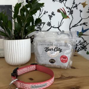 Red Glasses Collar and Beer City Dog Biscuits Bundle 1